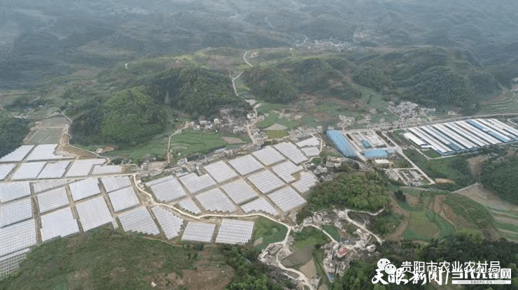 開陽龍崗鎮(zhèn)最新規(guī)劃圖,開陽龍崗鎮(zhèn)最新規(guī)劃圖，描繪未來繁榮藍(lán)圖