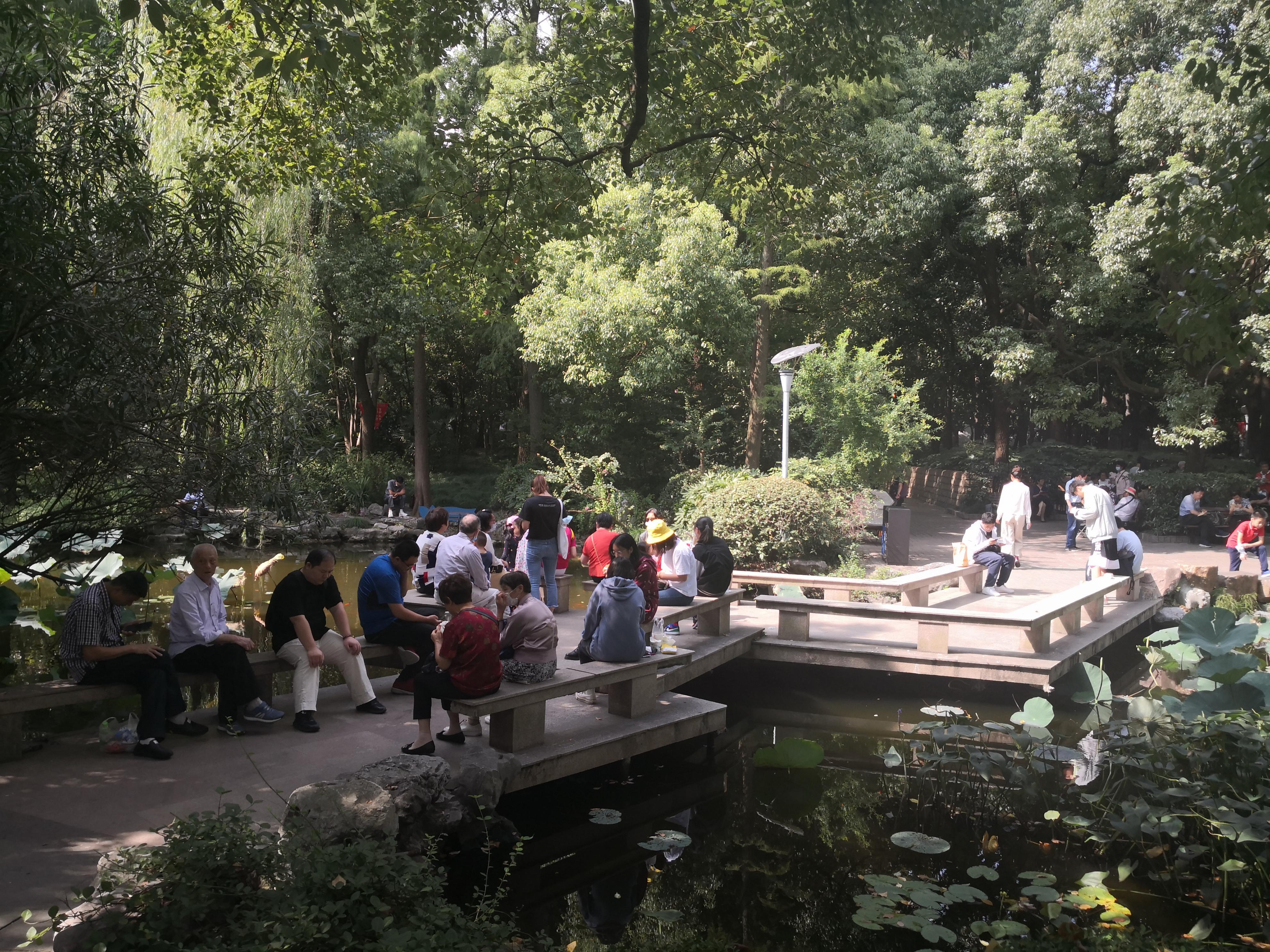 深圳公園排名最新消息,深圳公園排名最新消息，城市綠肺的新篇章