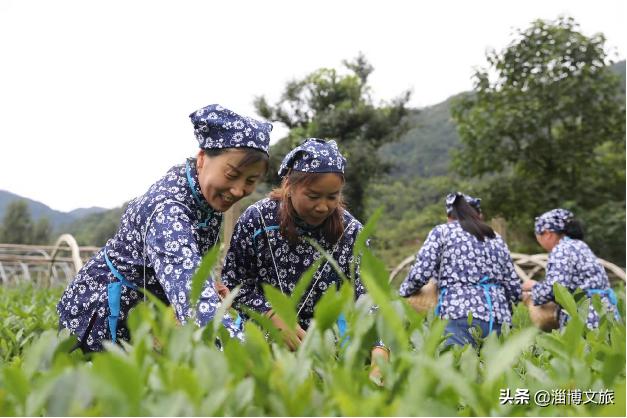 魯山縣最新規(guī)劃圖,魯山縣最新規(guī)劃圖，塑造未來城市的藍(lán)圖