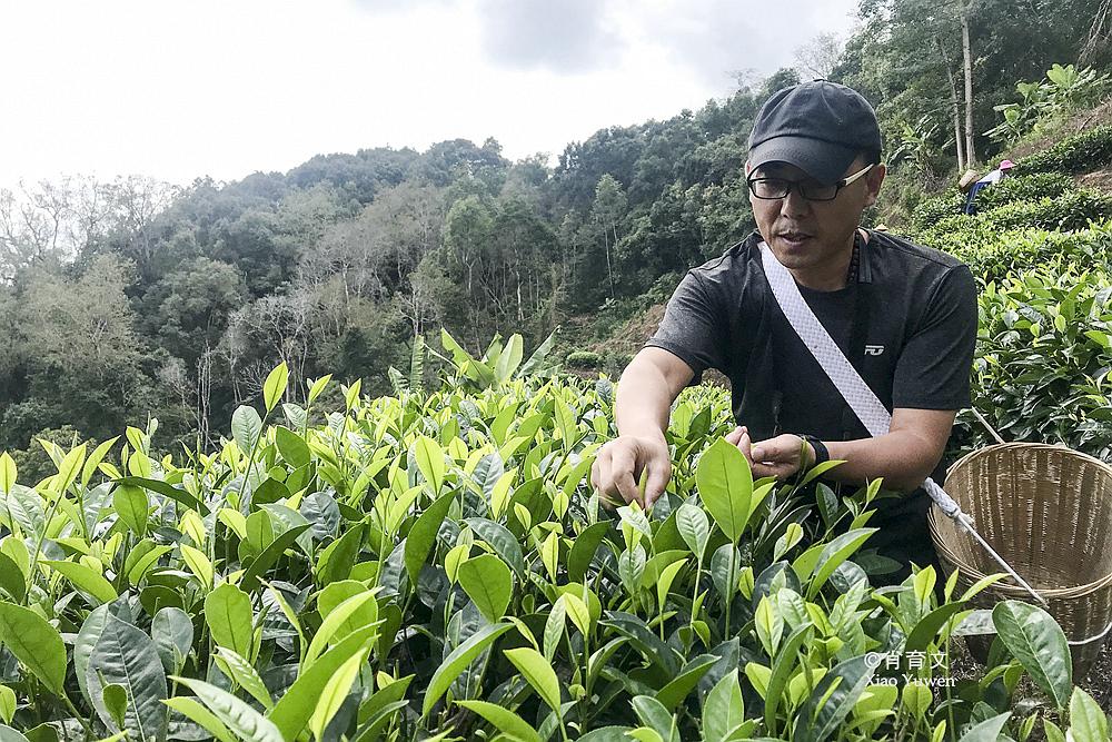 茶園新區(qū)最新發(fā)展新聞,茶園新區(qū)最新發(fā)展新聞，揭開未來繁榮的序幕