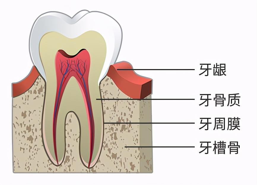 最新醫(yī)院感染管理制度,最新醫(yī)院感染管理制度，構(gòu)建安全醫(yī)療環(huán)境的基石