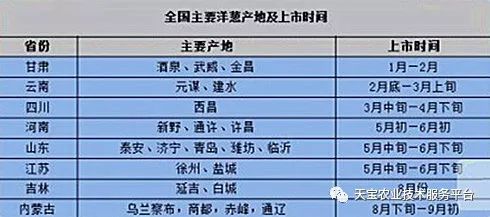 四川洋蔥價格最新行情,四川洋蔥價格最新行情分析