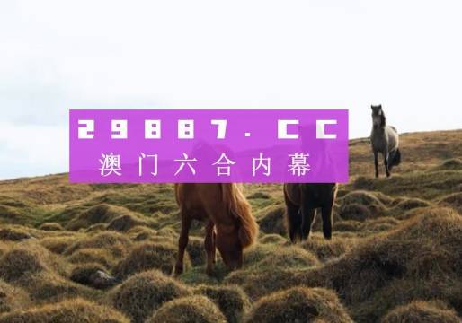 2024澳門特馬今晚開獎(jiǎng)億彩網(wǎng),億彩網(wǎng)與澳門特馬今晚開獎(jiǎng)的期待與探索