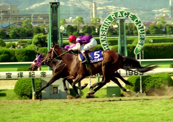 2024今晚香港開特馬,今晚香港開特馬，探尋賽馬文化中的激情與機(jī)遇