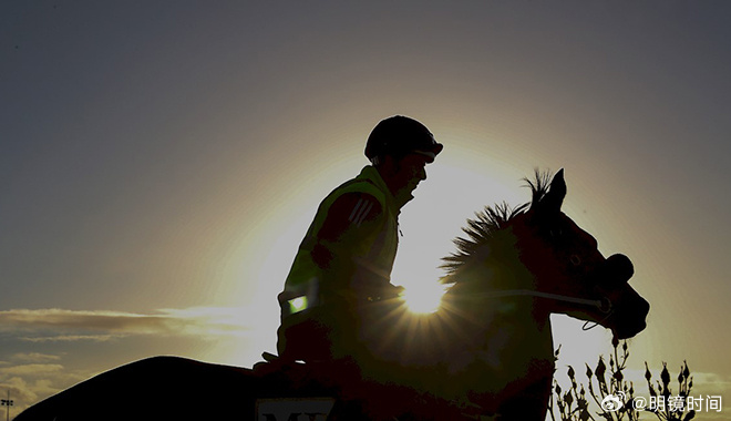 2024年澳門特馬今晚號碼,探索未來特馬世界，2024年澳門特馬今晚號碼的奧秘