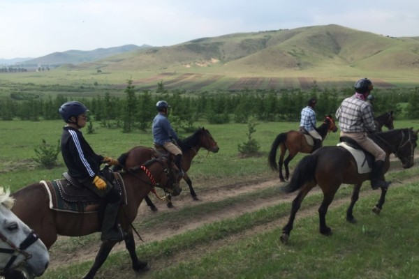 2024澳門特馬今晚開獎097期,澳門特馬今晚開獎097期，期待與驚喜的交融