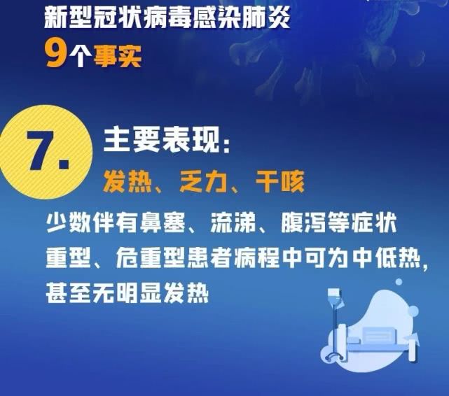 新澳正版資料免費大全,新澳正版資料免費大全，探索真實與免費的資料寶庫