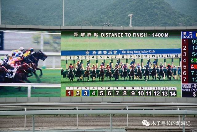 香港馬資料更新最快的,香港賽馬資料更新的速度與準確性，行業(yè)領(lǐng)先的資訊服務(wù)