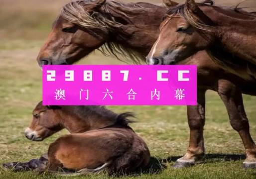 澳門六今晚開什么特馬,澳門六今晚開什么特馬，探索與解析