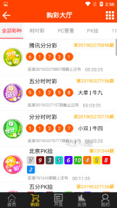 王中王493333中特1肖,王中王493333中特1肖，探索與解讀