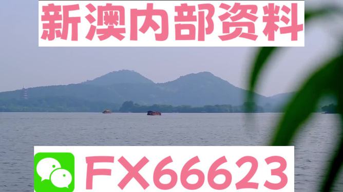 2024新澳資料免費精準051,新澳資料免費精準解析——探索未來的關(guān)鍵所在（關(guān)鍵詞，新澳資料、免費精準、精準解析）