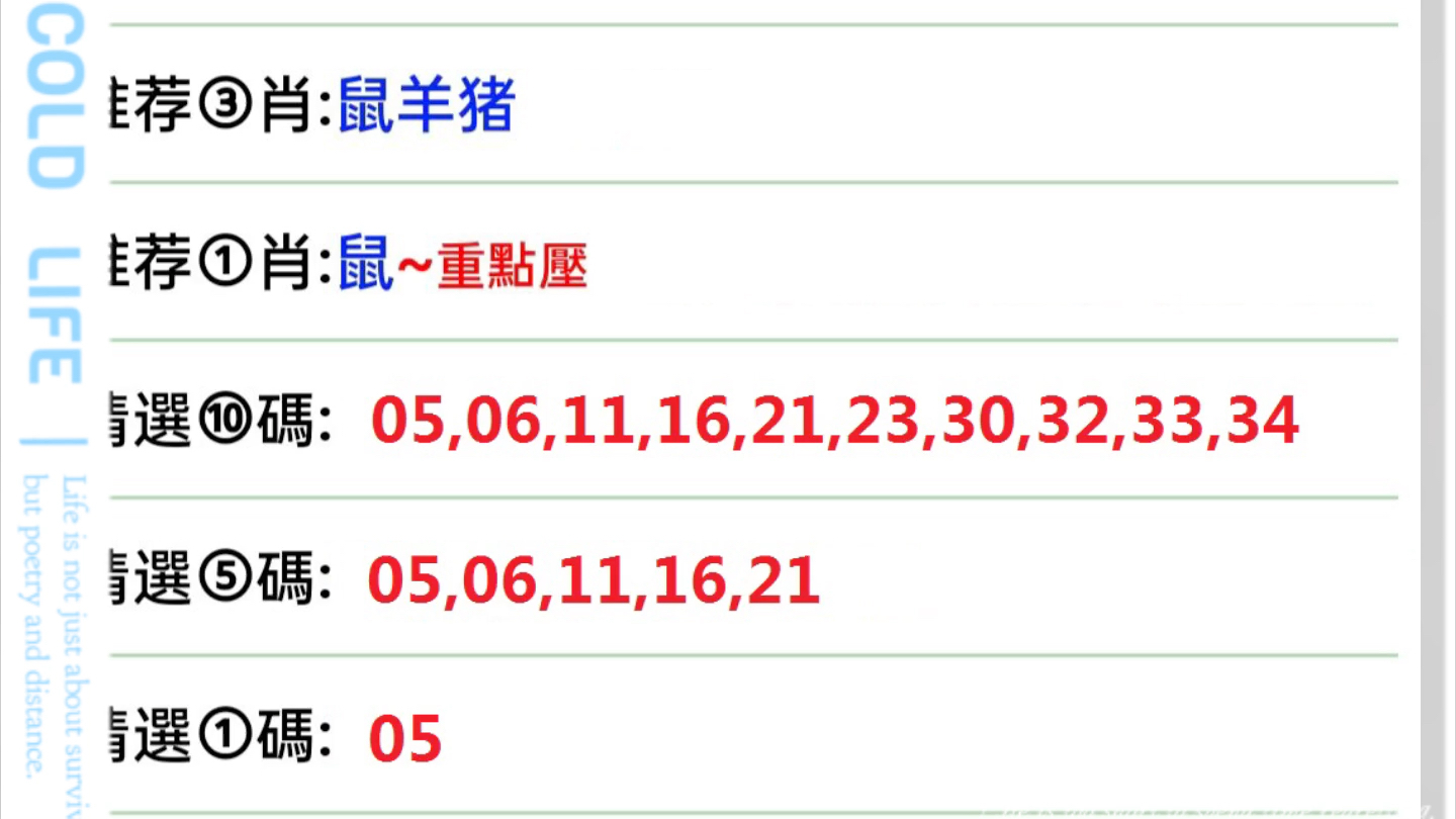 2025年1月4日 第6頁(yè)