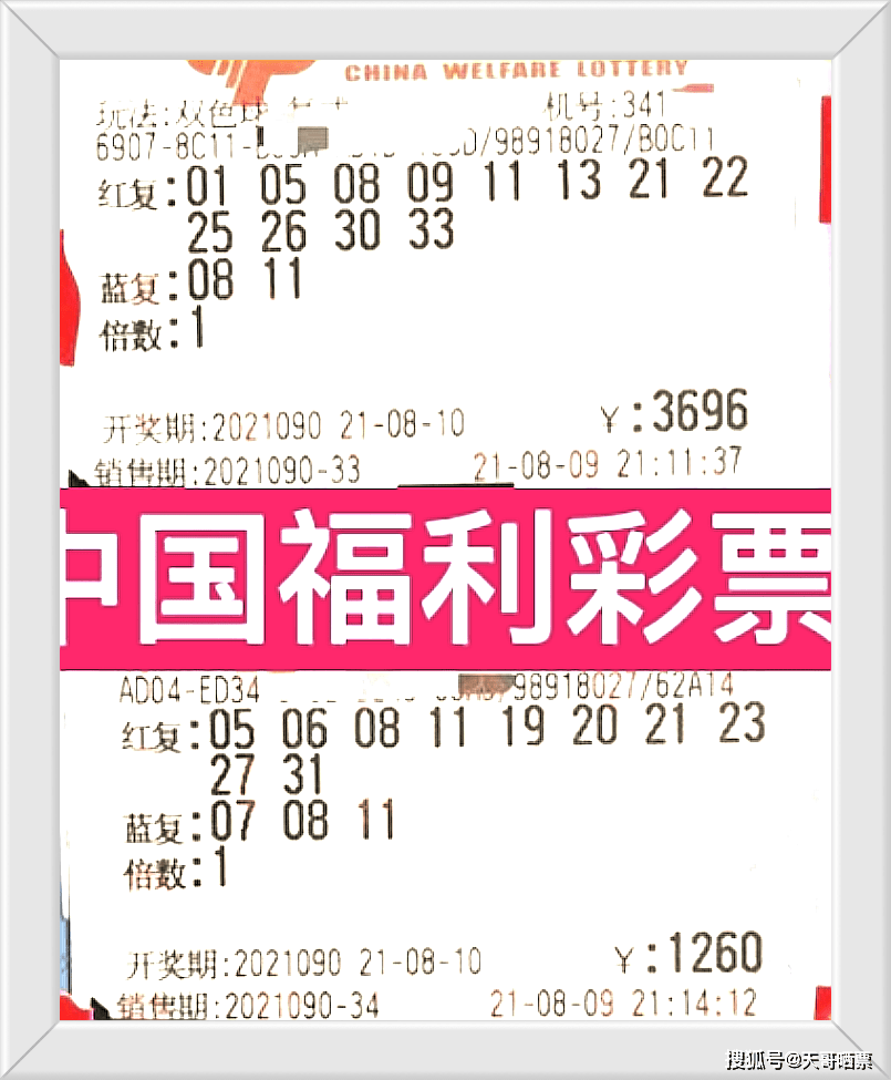 4949澳門今晚開獎結(jié)果,澳門今晚開獎結(jié)果揭曉，探索彩票背后的故事與期待