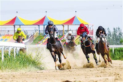 2024今晚香港開特馬,今晚香港開特馬，探索賽馬運(yùn)動(dòng)的魅力與未來(lái)展望