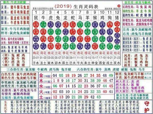 澳門正版資料大全資料生肖卡,澳門正版資料大全資料生肖卡，探索與解讀