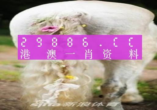 澳門(mén)一肖一碼準(zhǔn)選一碼2023年,澳門(mén)一肖一碼準(zhǔn)選一碼與犯罪問(wèn)題探討（2023年）