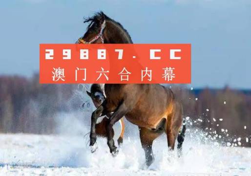 新澳門今晚精準(zhǔn)一肖,新澳門今晚精準(zhǔn)一肖，探索生肖預(yù)測的魅力與真相