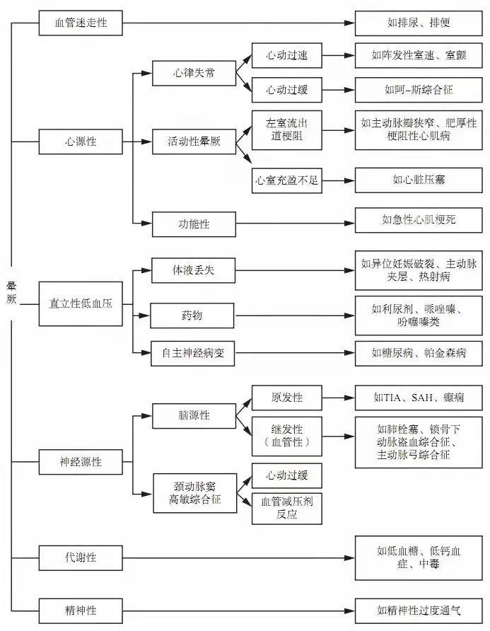 777778888王中王最新,探索數(shù)字背后的秘密，揭秘最新王中王現(xiàn)象與數(shù)字777778888的神秘面紗