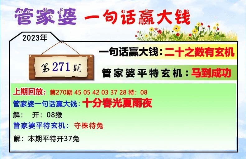 202管家婆一肖一碼,揭秘202管家婆一肖一碼，背后的真相與警示