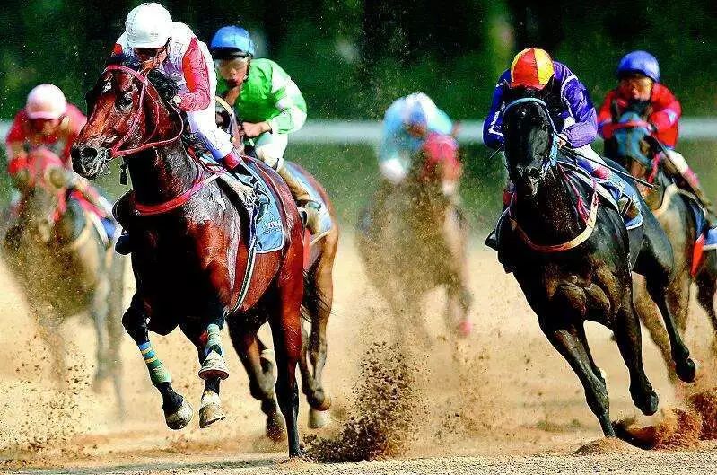 新澳今天開什么特馬,新澳今日賽馬揭曉，探尋賽馬世界的速度與激情