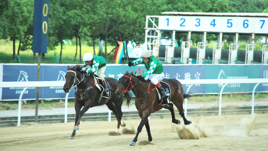 澳門今晚上開的什么特馬,澳門今晚賽馬結果分析