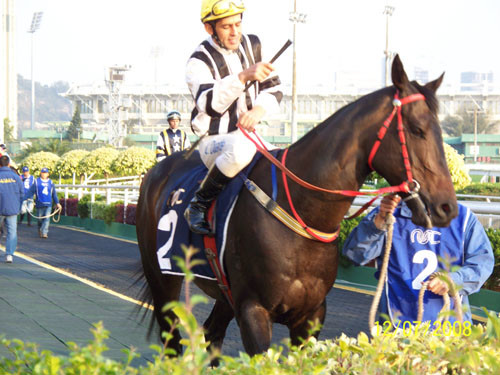 2024澳門正版今晚開特馬,澳門正版今晚開特馬，探索背后的故事與意義