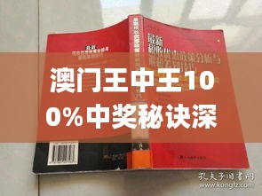 新澳門王中王王中王免費(fèi),新澳門王中王王中王免費(fèi)，探索與體驗(yàn)