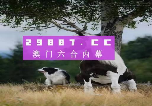 澳門跑狗圖免費(fèi)正版圖2024年,澳門跑狗圖免費(fèi)正版圖2024年，探索與預(yù)測(cè)