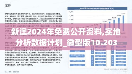 新澳2024年精準(zhǔn)資料220期,新澳2024年精準(zhǔn)資料220期詳解