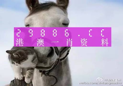 澳門(mén)一肖一碼準(zhǔn)選一碼2023年,澳門(mén)一肖一碼準(zhǔn)選一碼與犯罪問(wèn)題探討（2023年）