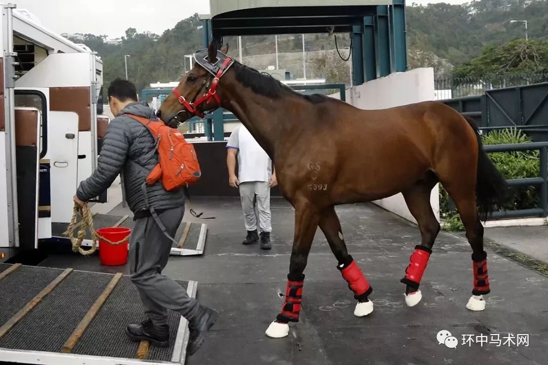 香港馬買馬網(wǎng)站www,香港馬買馬網(wǎng)站——探索賽馬產(chǎn)業(yè)的領(lǐng)先平臺