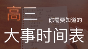 澳門管家婆資料一碼一特一,澳門管家婆資料一碼一特一，深度解析與探討