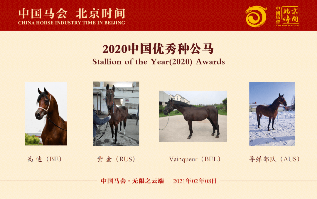 今晚澳門馬出什么特馬,今晚澳門馬會出什么樣的特馬？探索馬會神秘面紗下的秘密