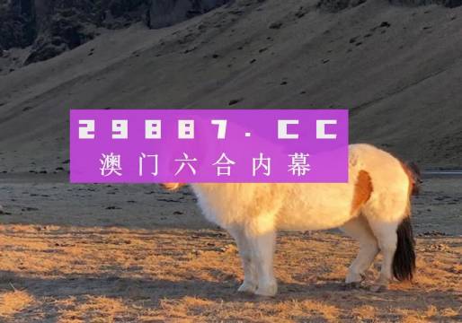 最準(zhǔn)一肖一嗎100%澳門,探索最準(zhǔn)一肖一碼，澳門100%預(yù)測之謎