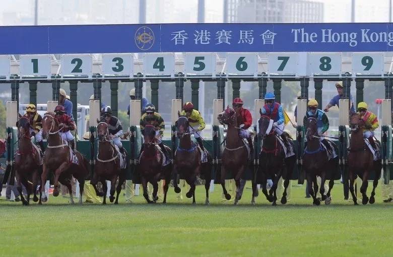 香港最準馬會資料免費,香港最準馬會資料免費，探索賽馬世界的秘密