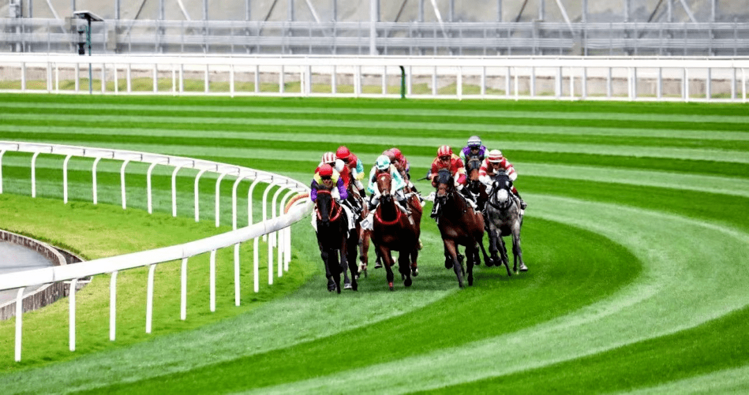 930香港馬精準(zhǔn)資料,香港賽馬精準(zhǔn)資料，揭秘930賽事背后的秘密