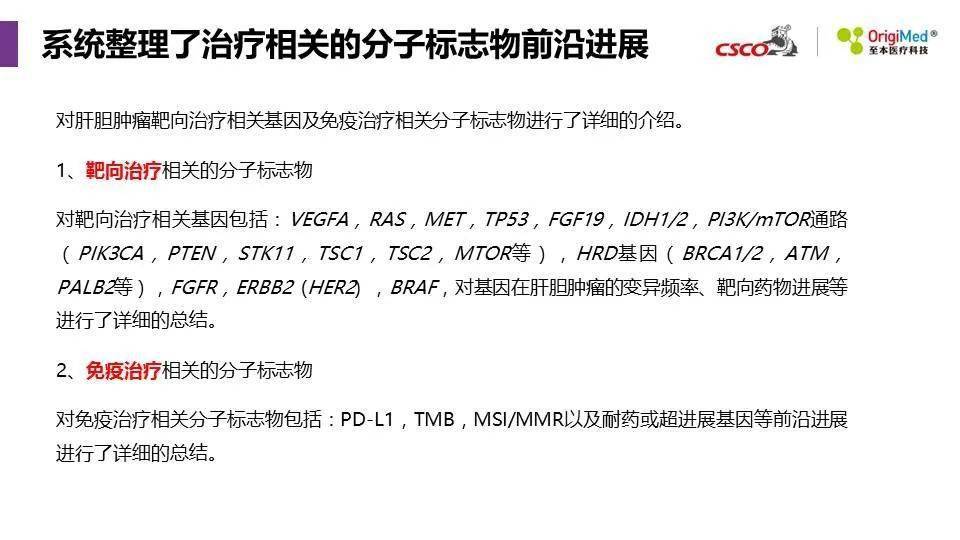 2025年新澳精準(zhǔn)資料免費(fèi)提供網(wǎng)站,探索未來，2025年新澳精準(zhǔn)資料免費(fèi)提供的網(wǎng)站