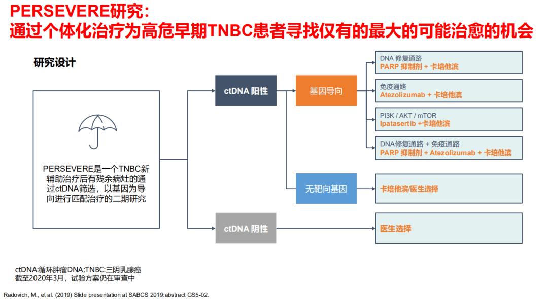 2025新澳精準資料免費提供,探索未來之路，關(guān)于新澳精準資料的免費提供與深度解析（2025展望）