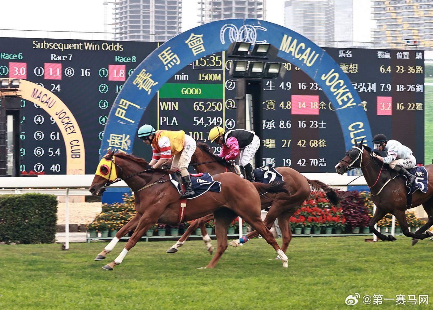 澳門馬會傳真,澳門馬會傳真，探索賽馬運(yùn)動的魅力與重要性