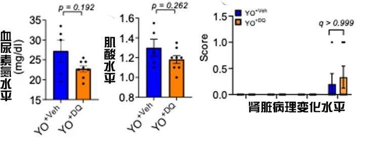 澳門三肖三碼精準100%,澳門三肖三碼精準預(yù)測，揭秘背后的秘密與真相