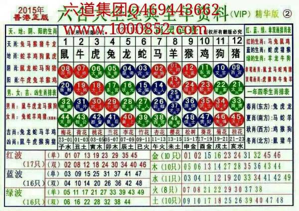 2025十二生肖49碼表,揭秘2025十二生肖與彩票49碼表的神秘聯(lián)系