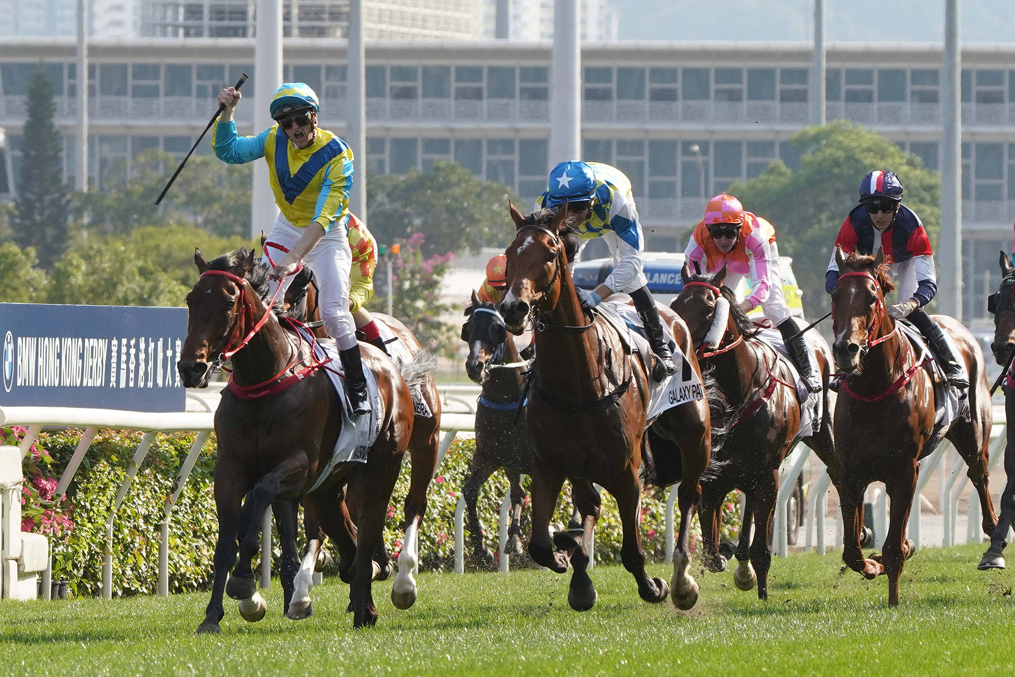 新澳今天開什么特馬,新澳今日賽馬盛況，探尋特馬開賽的秘密