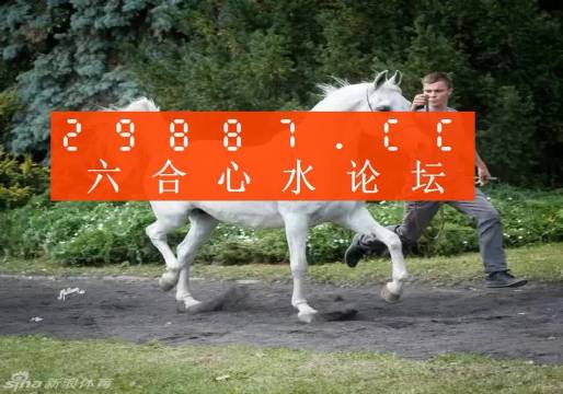 7777788888新版跑狗圖,探索新版跑狗圖，77777與88888的魅力交織