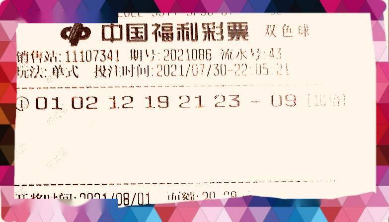 2O24年澳門今晚開碼料,澳門今晚開碼料與未來的展望（2024年）