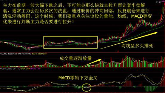 管家婆三肖一碼一定中特,揭秘管家婆三肖一碼一定中特，真相與風(fēng)險并存