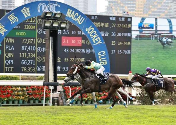 2025澳門今晚開特馬結(jié)果,探索澳門特馬文化，2023年澳門今晚特馬開獎結(jié)果展望