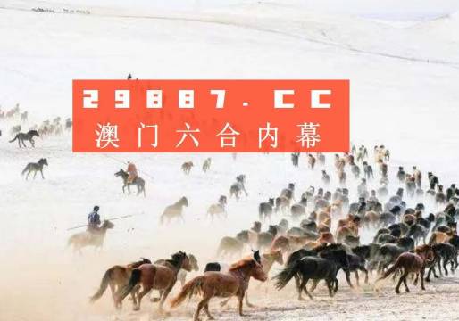 4949澳門特馬今晚開獎(jiǎng)53期,澳門特馬第53期開獎(jiǎng)揭曉，期待與驚喜交織的夜晚