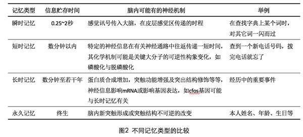 2025正版資料免費提拱,探索未來，正版資料的免費共享與知識普及的新篇章