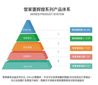 新澳門管家婆一句,新澳門管家婆一句，揭示背后的智慧與策略