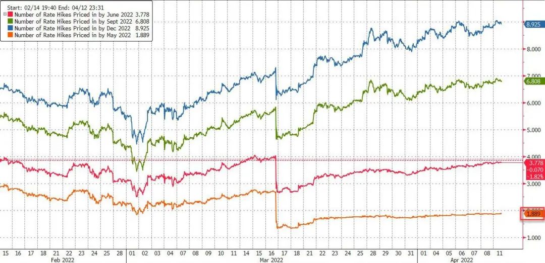 2025年澳門特馬今晚,澳門特馬今晚的開獎預測與未來展望（2025年澳門特馬分析）